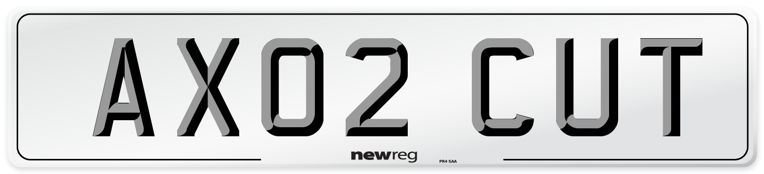 AX02 CUT Number Plate from New Reg
